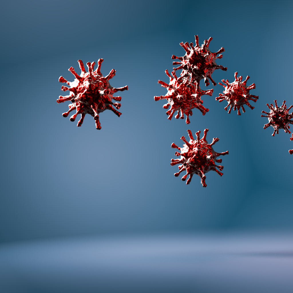 The immune System: part 2