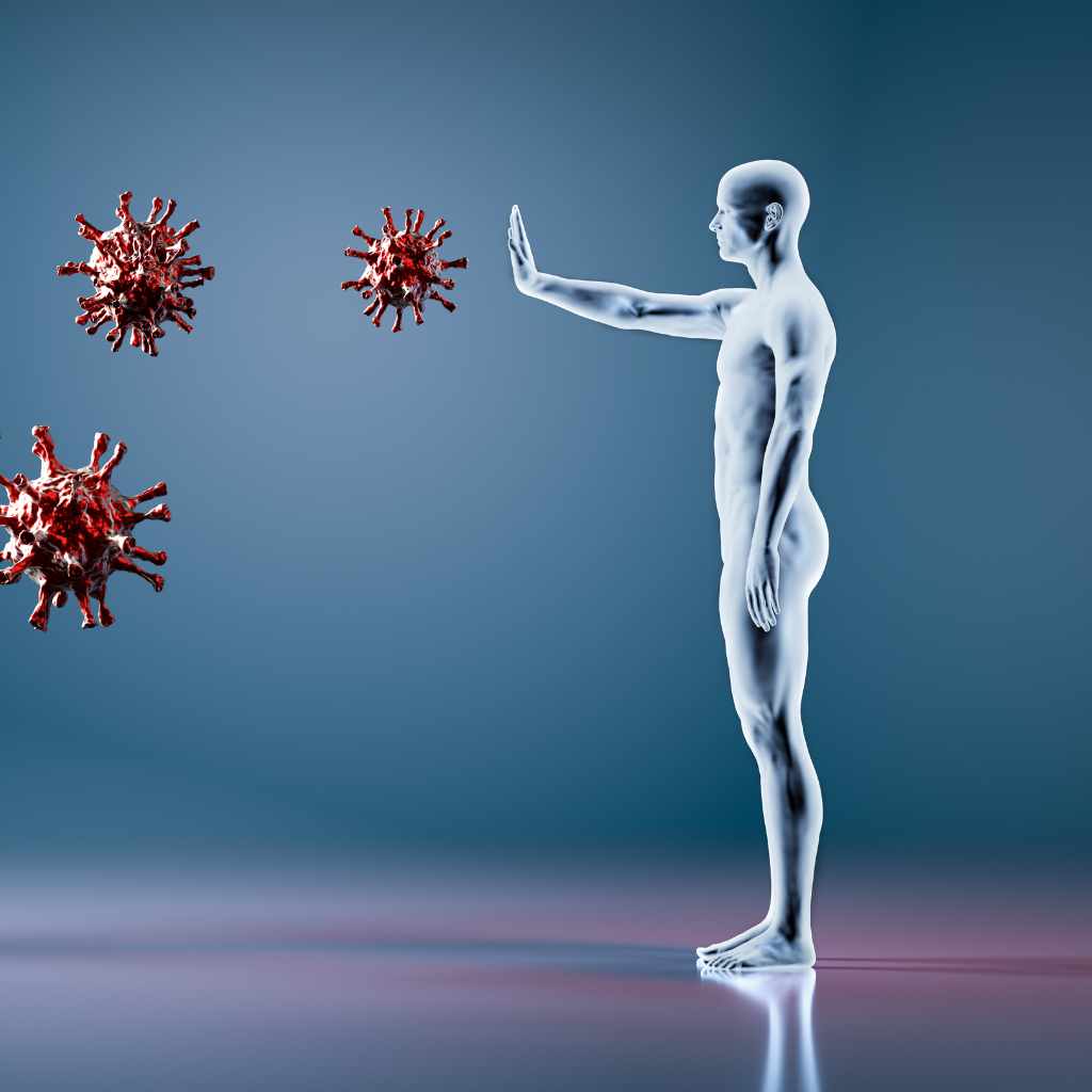 The Immune system: part 1
