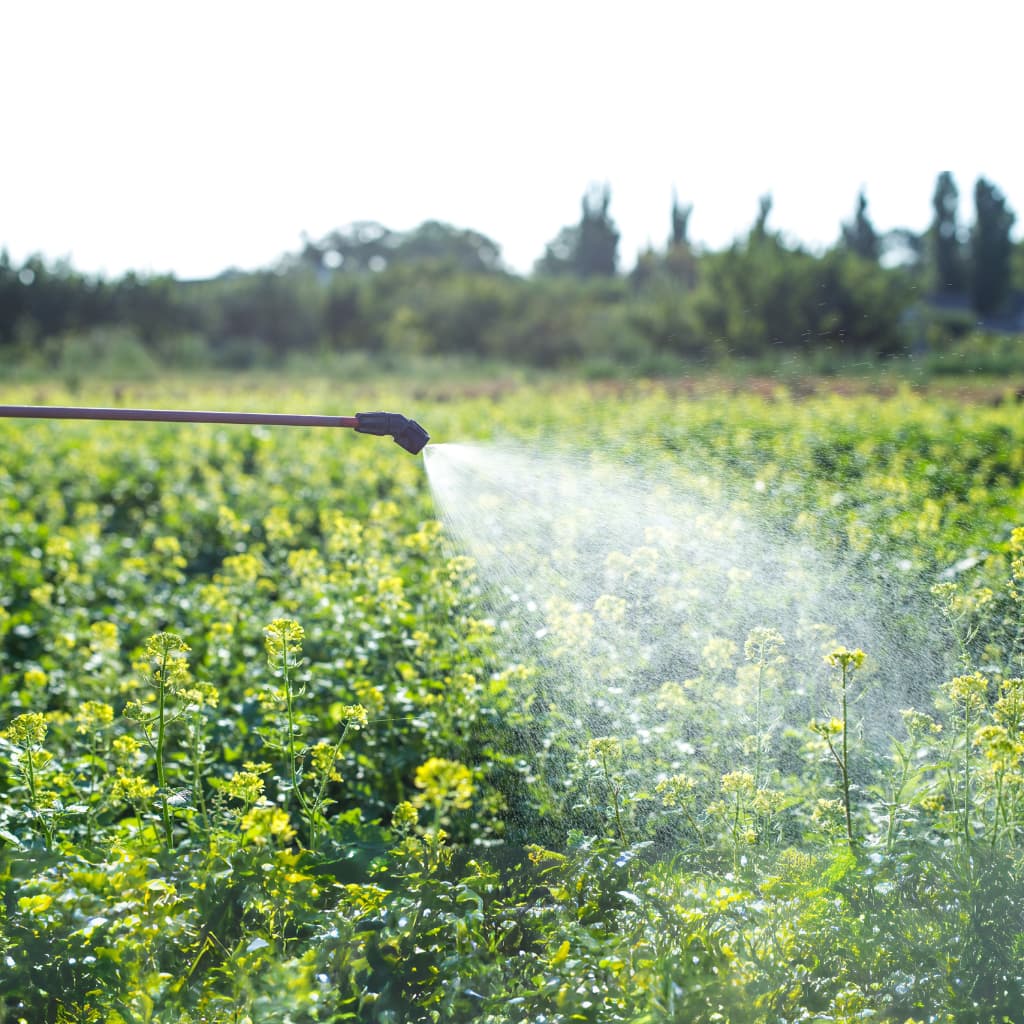 detox yur body with immunity fuel certified organic probiotic super foods