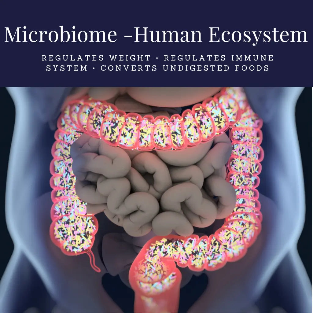 the microbiome