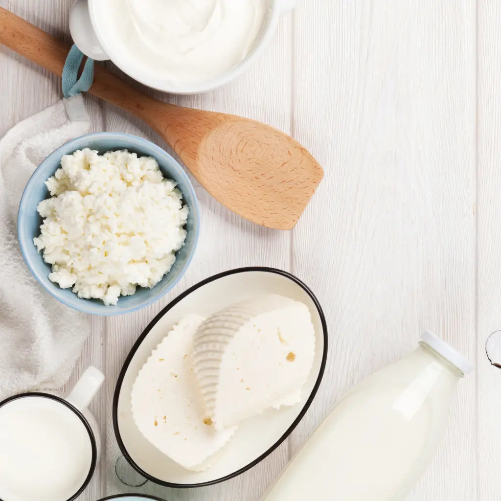 the origins of probiotics