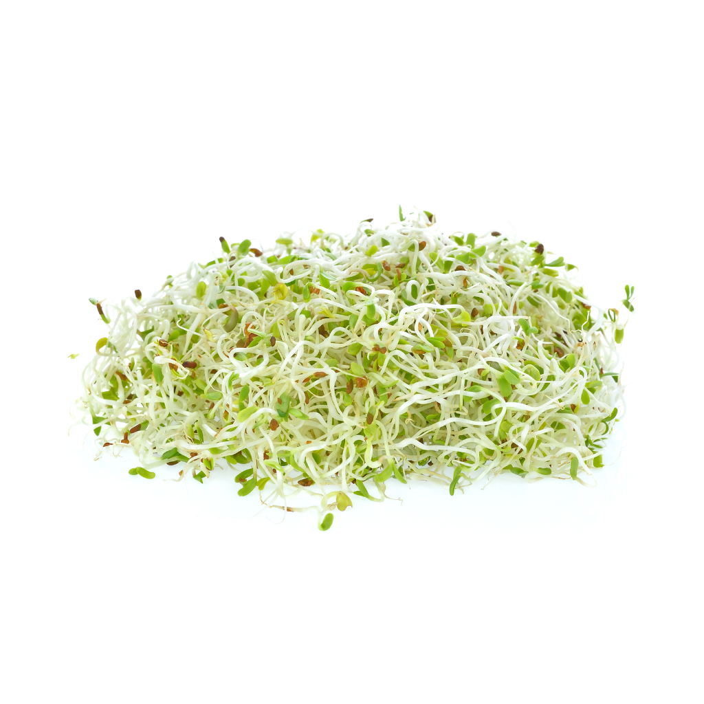 Certified-Organic-Alfalfa-for-gut-health