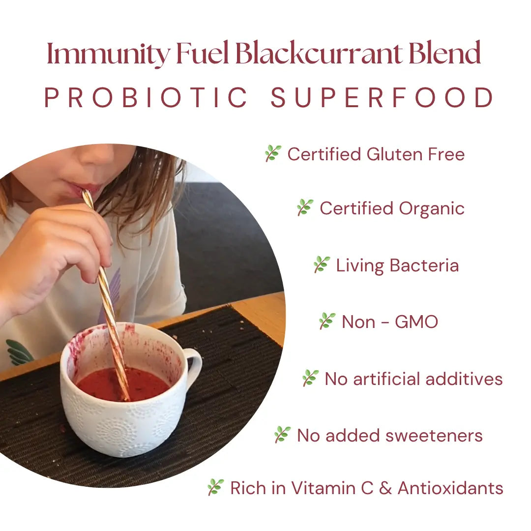 Blackcurrant Probiotic Superfood Powder 3 Pack benefits of probiotics for kids