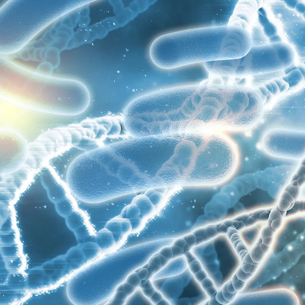 good live natural orgnaic bacteria strains