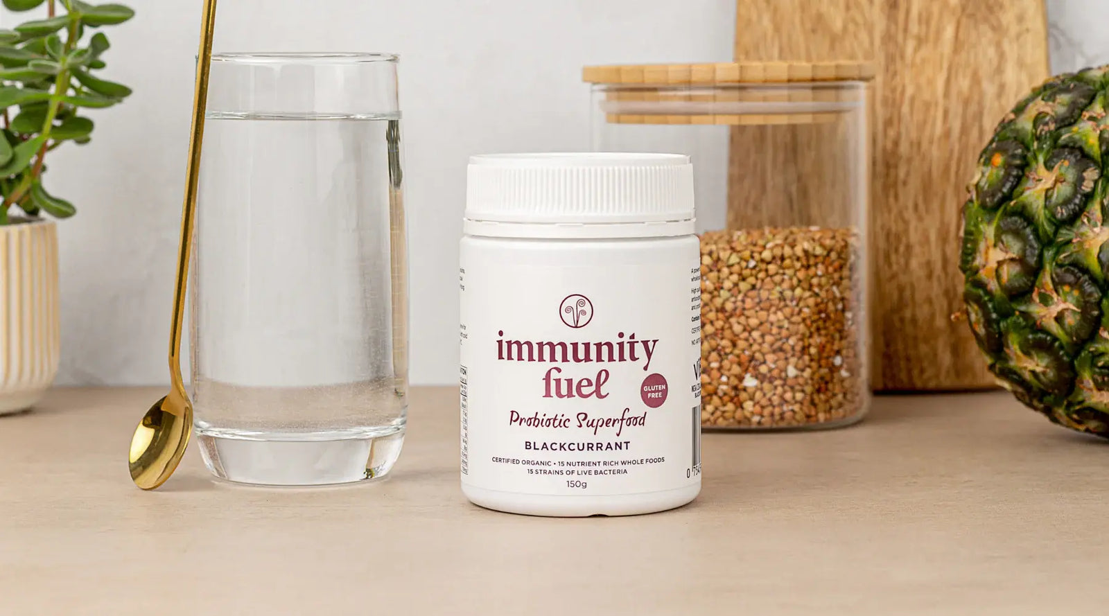 Immunity Fuel certified organic blackcurrant probiotic superfood for immune system support