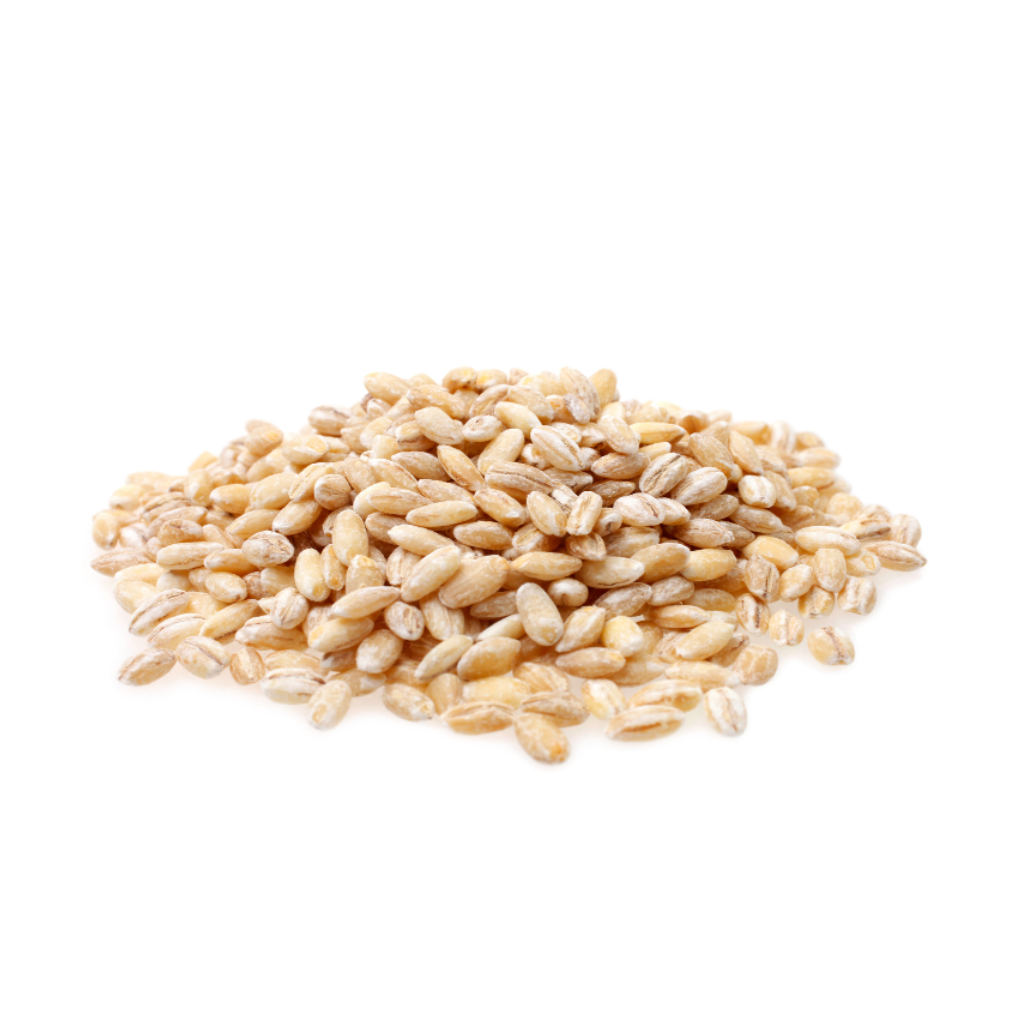 Certified-Organic-Pearl-barley-for-gut-health