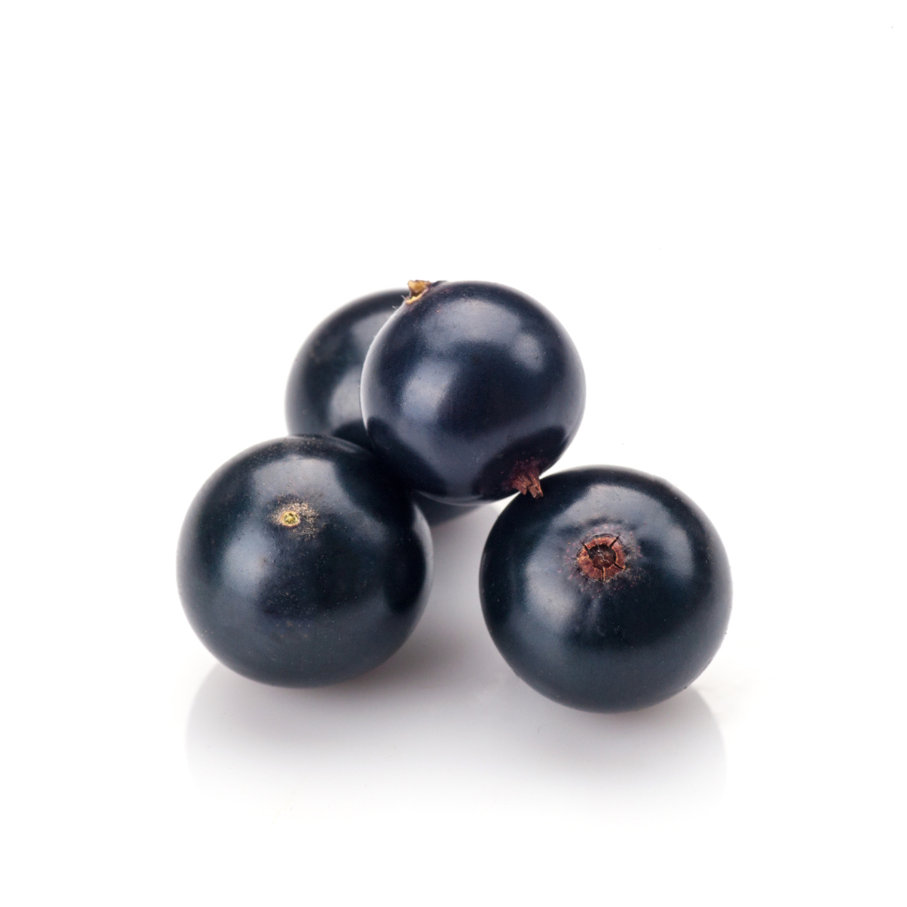 Immunity-Fuel-Blackcurrant-Powder