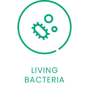 Immunity Fuel Best Probiotics NZ with Living Bacteria