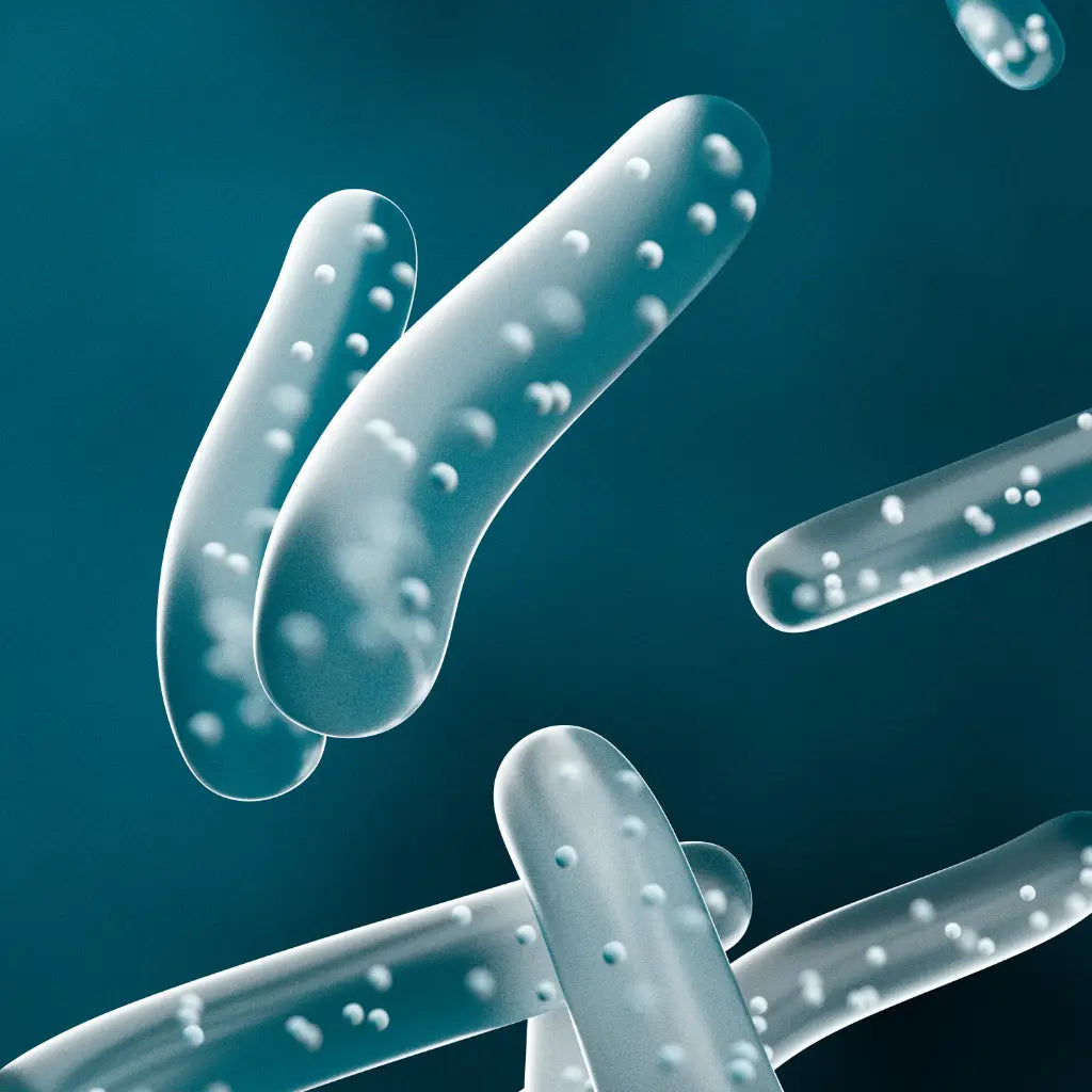 Microscopic view of bacteria on a dark blue background